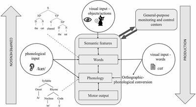 A narrative review of the anatomy and function of the white matter tracts in language production and comprehension